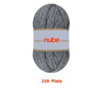 210 - Plata familia