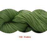 748 - Pradera Lupe