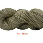 851 - Oberon Lupe