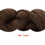 858 - Tundra Lupe